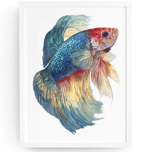 Watercolor Betta Fish Wall Art Print, Unframed - Vibrant Aquatic Elegance